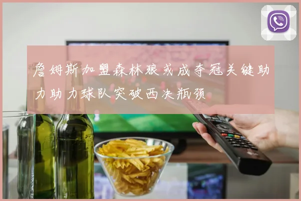 詹姆斯加盟森林狼或成夺冠关键助力助力球队突破西决瓶颈