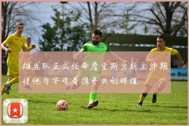 雄鹿队正式任命詹金斯为新主帅期待他与字母哥携手共创辉煌