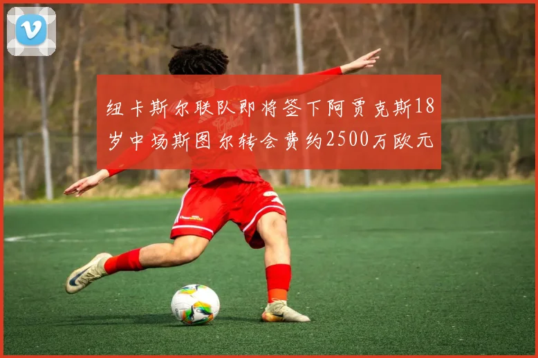 纽卡斯尔联队即将签下阿贾克斯18岁中场斯图尔转会费约2500万欧元