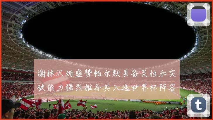 谢林汉姆盛赞帕尔默具备灵性和突破能力强烈推荐其入选世界杯阵容